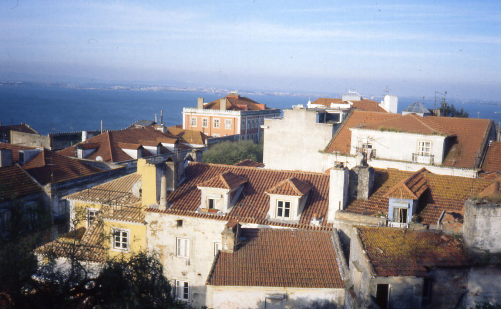panorama tejo